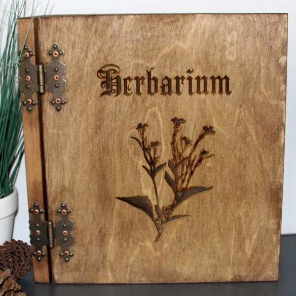 Herbarium in Eiche Dunkel